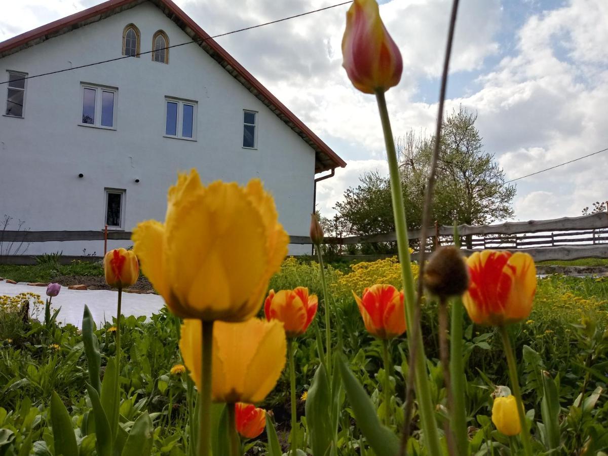 Zakatek Szczescia Eko Agroturystyka Kiwity Eksteriør bilde